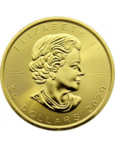 Zlatá investiční mince Maple Leaf 1 Oz 2